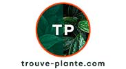 chateaudesaintjeanbeauregard-logo-trouve-plante
