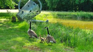 Visitez Saint-Jean de Beauregard en famille