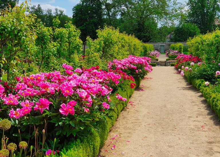 Le Potager fleuri de Saint-Jean de Beauregard en été