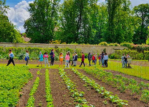 Groupe scolaire dans le Potager fleuri du château de Saint-Jean de Beauregard