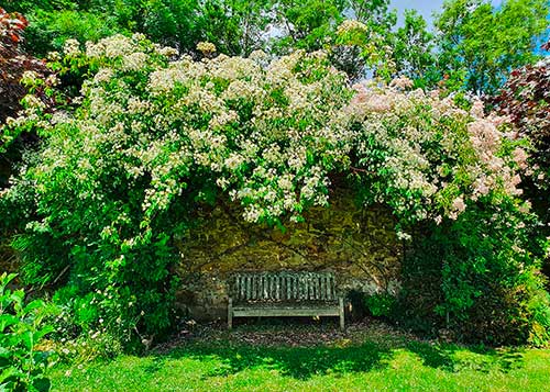 Banc ombragé dans le Potager fleuri du château de Saint-Jean de Beauregard