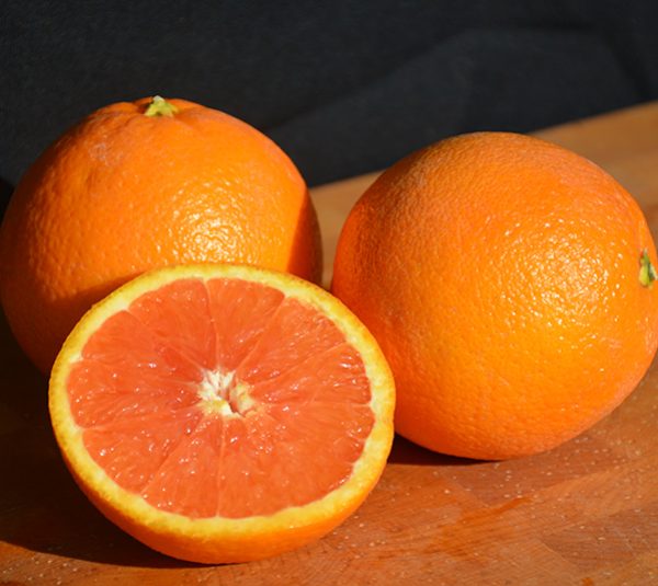 Citrus-sinensis-orange (5)