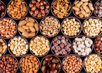 fruits-sec-aperitif-sanssel